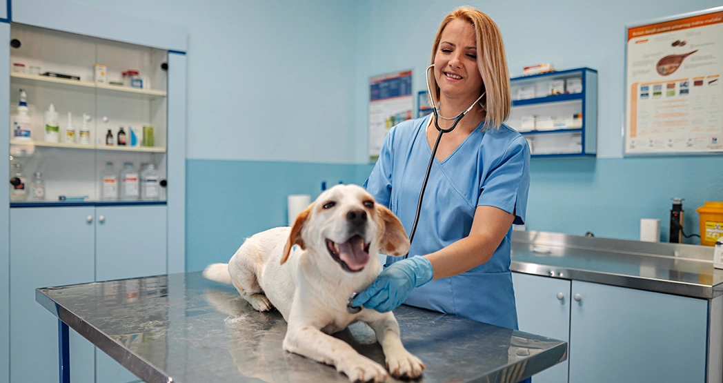 Какие предметы сдавать на ветеринара после 9 класса?