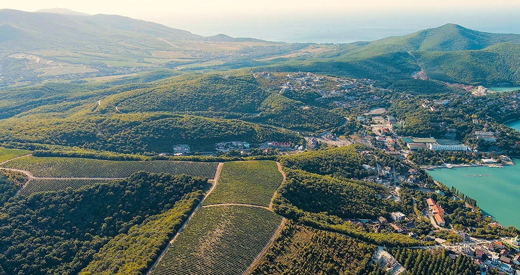 Список вузов Краснодара с низким проходным баллом 2025