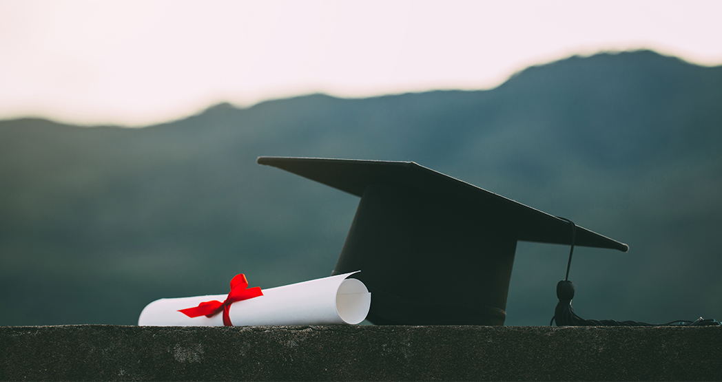 Академия и университет: как выбрать идеальное образовательное учреждение?