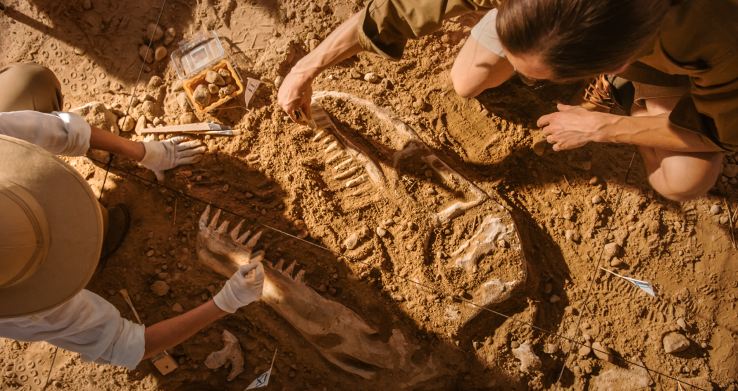 Палеонтолог