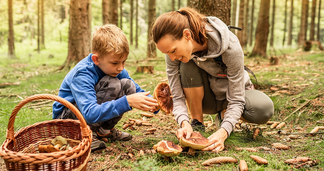 Как стать вожатым?